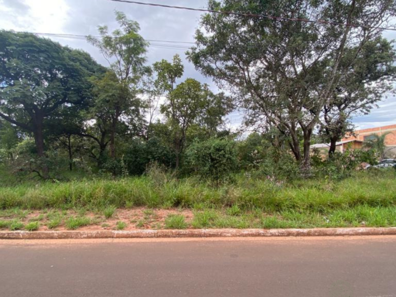 Imagens Imovel