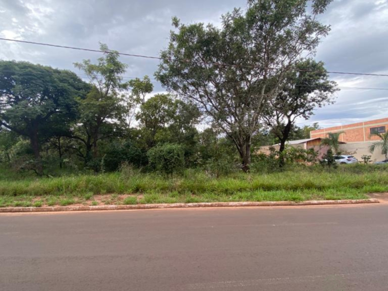 Imagens Imovel